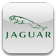 Jaguar emblema 81