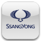 Ssang Yong emblema 81